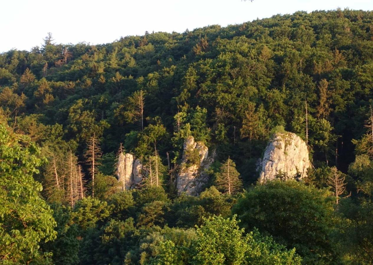 Fewo Lehner Riedenburg Exterior foto